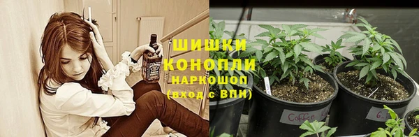 эйфоретик Медвежьегорск