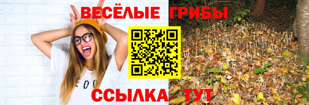 Галлюциногенные грибы Psilocybe  Вход с VPN  Лангепас  Псилоцибиновые грибы мицелий 